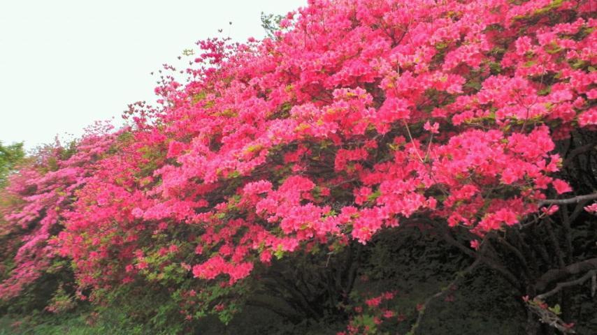 Kadoya Ryokan Nasushiobara Ngoại thất bức ảnh